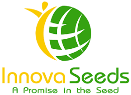 Innova Seeds Success Story - Data Technologies